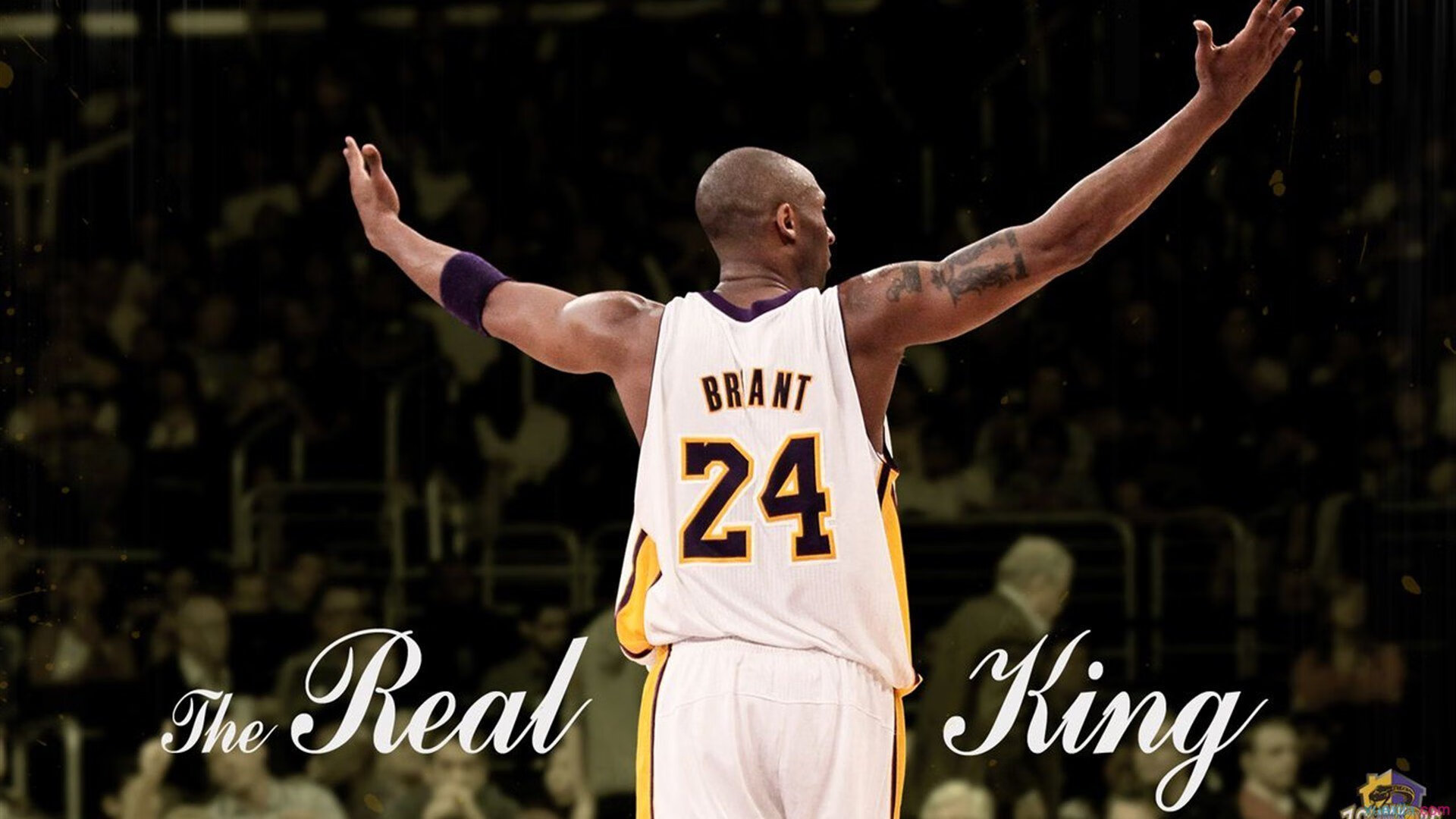 关于德约科维奇遭遇二十持续失利，湖人教练压力巨大！气势如虹延续的信息