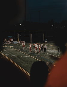 夺冠首场状态出色，加拿大队观众沸腾！Rookie重返赛场引发球迷热议